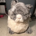 Vintage Applause 1986 Tabby Gray Cat 16  Plush Stuffed Animal Avanti Collectible