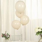 50 Beige 12  Biodegradable Latex Matte Pastel Balloons Party Wedding Decorations