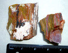 Arizona Rainbow Petrified Wood Natural State Beautiful Two Specimens 10 Oz