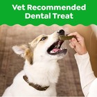 Greenies Teenie Original Natural Dental Dog Treats  Chicken  43 Count
