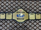 World Television Championship Replica Title Belt 4mm  Brass leather 4mm