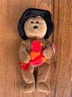 Plymouth Beanie Baby Ty 2004 Pilgrim Thanksgiving Turkey With Tags Attached Mwmt