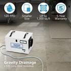 Alorair Crawl Space Dehumidifier  120 Ppd With Drain Hose And Pump Sentinel Hd55