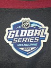 Andrew Oke Arizona Coyotes 2023 Global Series Game Issued Mic Goalie Jersey