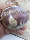 Lot Of  Four Hand Carved Cowrie Shells 3    Italy
