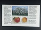 Canada Fdc 1995 Trees   Flowers Horse Chestnut Block Of 4 Wineland 52c