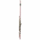 Glarry Standard Pink School Band Student 16 Closed C Flute With Case accessories