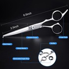 Hair Cutting Scissors  6 5  Stainless Steel Barber Haircut Shears For Silver 