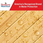Thompson s Waterseal Multi-surface Waterproofer  Clear  1 Gallon father s Day