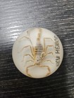New Mexico Souvenir White Glass Scorpion Paperweight  