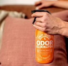 2x Angry Orange 20oz Ready To Use Pet Odor Eliminator Dogs Cats