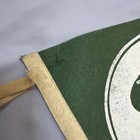 Vintage 1967 New York Jets Full Size Felt Pennant 30    Nfl Football