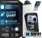 Pulsar 2 300 Watt Inverter Generator With Co Sentry