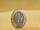 Vintage Ellis Hospital 10 Year Service Award Pin