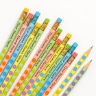Personalized Pencils Set Of 12     Custom Name Mixed Colors School Gifts