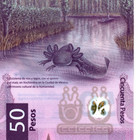 2025 Mexico 50 Pesos  Unc Polymer Banknote 100th Anniv Swimming Axolotl