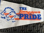 Vintage Youngstown Pride Wbl Pennant Ohio Basketball