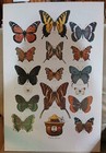 Vintage Smokey The Bear Posters Professionally Mounted Usda Forest Service - 4  
