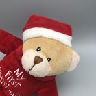 Dan Dee Collectors Choice 2016 Plush My First Christmas   Bear Red 8    Long