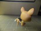     authentic Littlest Pet Shop Lps Corgi  724 Tan Teal Diamond Eyes Rare Pet    