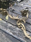 Antique Ornate French Louis Xv Rococogold Gilt Bronze Candle  Wall Sconce