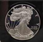 2017 W  Evolved Series 1 Pf70 Silver Eagle-1 10 Oz Ms70 Silver Medal Ngc Pop 19