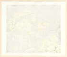 Koichi Maeda - Original 2014 Japanese Woodblock Print