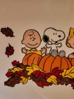 Peanuts Charlie Brown   Gang Snoopy Suddenly It s Fall Dinner Serving Bowl 46 Oz