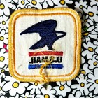 Vintage Official Us Mail Patch 3  Usps 1970 Style Uniform