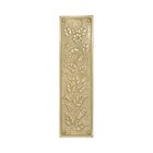 Solid Brass Push Plate With Morning Glory Floral Motif 11 Inches - Choose Finish
