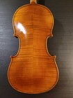 Old Violin Heinrich Moritz Schuster