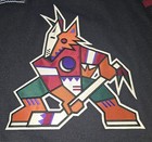 Jared Moe Arizona Coyotes Adidas Mic Game Issued Goalie Jersey Phoenix Kachina