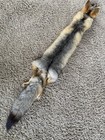 Kit Fox Pelt Fur Hide Tanned Quality Log Cabin Decor Man Cave Art Red Grey