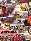 Vintage 1960   s-70   s Metal Arizona Souvenir Bar Tray  Art By Ken Haag