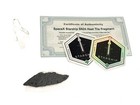 Space X Starship Sn24 Heat Shield Thermal Tile Flight 1 Surface Fragment  sm 