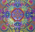 Daniel Donato Cosmic Cowboy Foil Variant 2024 Tour Poster   5 80 