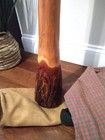  53  Didgeridoo Eucalyptus