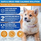 Soothepaws Dog Calming Pheromone Refills Only   Choose 2 4 6 Pack  48 Ml Each 