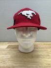 Calgary Stampeders New Era 9fifty Snapback Hat Cap Cfl Football