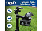 Orbit 62100 Yard Enforcer Motion Activated Pest Deterrent Sprinkler Day   Night 