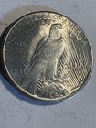 1922-1925 - 90  Silver Peace Dollar Random Year mint  Brilliant Uncirculated Bu
