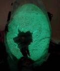 Jurassic World Dominion Egg Popcorn Bucket Movie Cinemas Theaters  2022