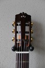Brand New Cordoba C9 Parlor 7 8th Size Nylon String Classical Guitar - Cedar Top