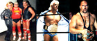 10 Pro Wrestling Dvds  Rare Nwa Wrestling From The 80 s 