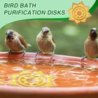 2 Pack Bird Bath Copper Disk  Reinforced 99 99  Pure Copper Bird Bath Purificati
