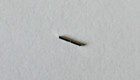 New Genuine Phonak Hearing Aid Pins Titanium 0 7mm Choose Size 2pack