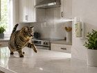Petsafe Ssscat Spray Deterrent Motion Activated Dog Cat Deterrent