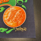 Dave Matthews Band Poster Saratoga Springs  Ny 7 5 24 Ben Kwok Bioworkz Ap Spac