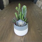 Mini Artificial Succulent Plant Fake Floral Garden Plastic Desert Decor Gift