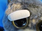 Wm Corp  Feisty Pets Schnauzer Or Husky Plush 310-3514 